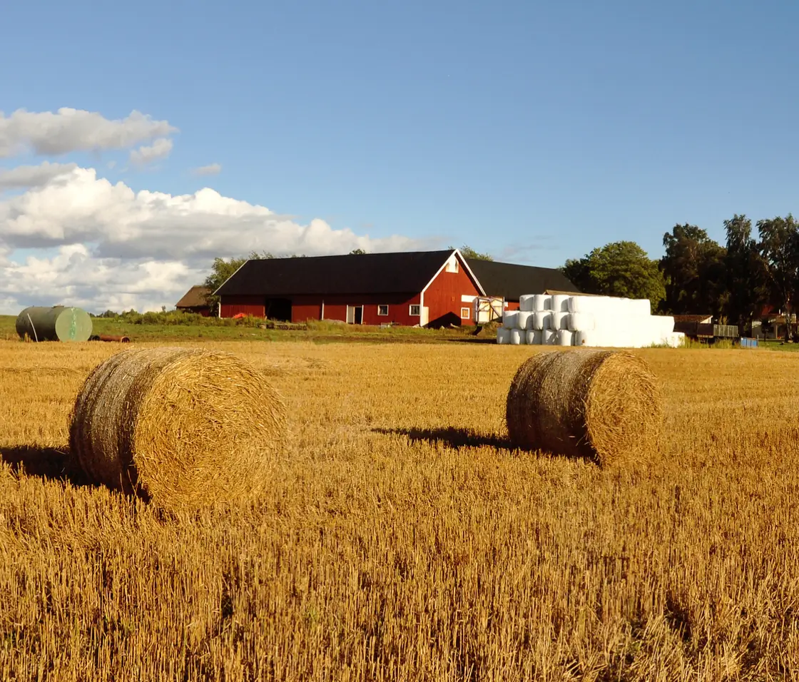 Farm