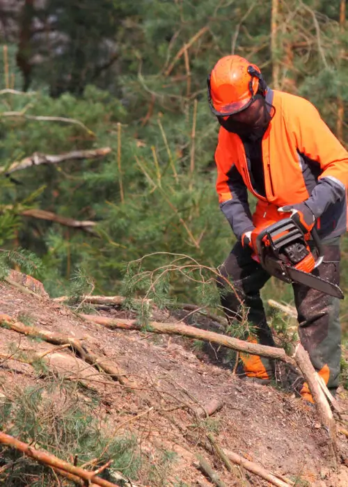 lumberjack