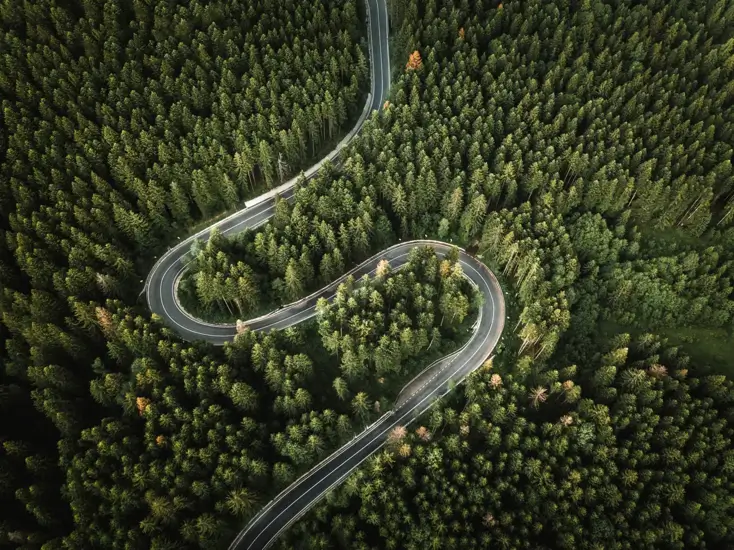 twisted road