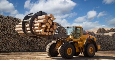 Forestry Equipment Carrying Logs In Front Of A Large Log Pile