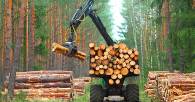Forestry Equipment In The Woodlands Collecting Timber