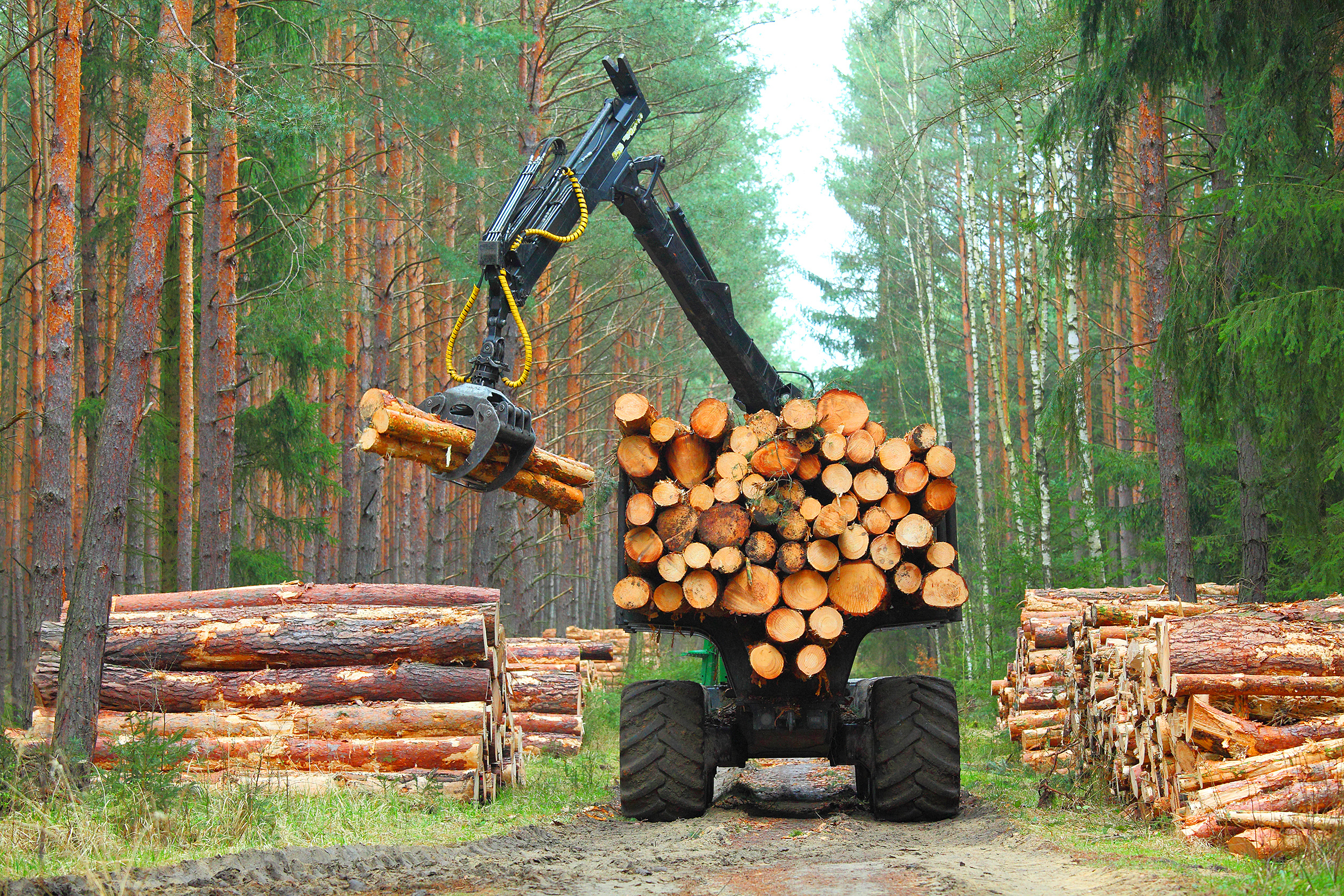 Forestry equipment in the woodlands collecting timber